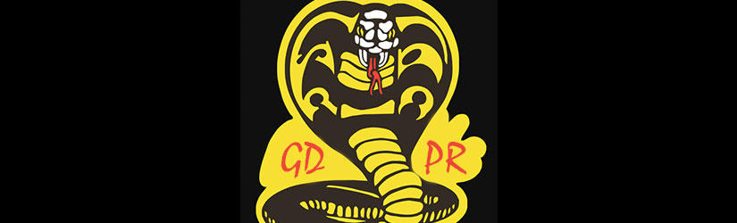 GDPR vs. Cobra Kai