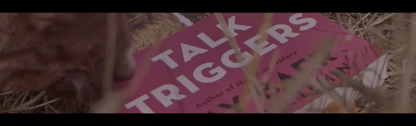 Jay Baer and Daniel Lemin on Talk Triggers!